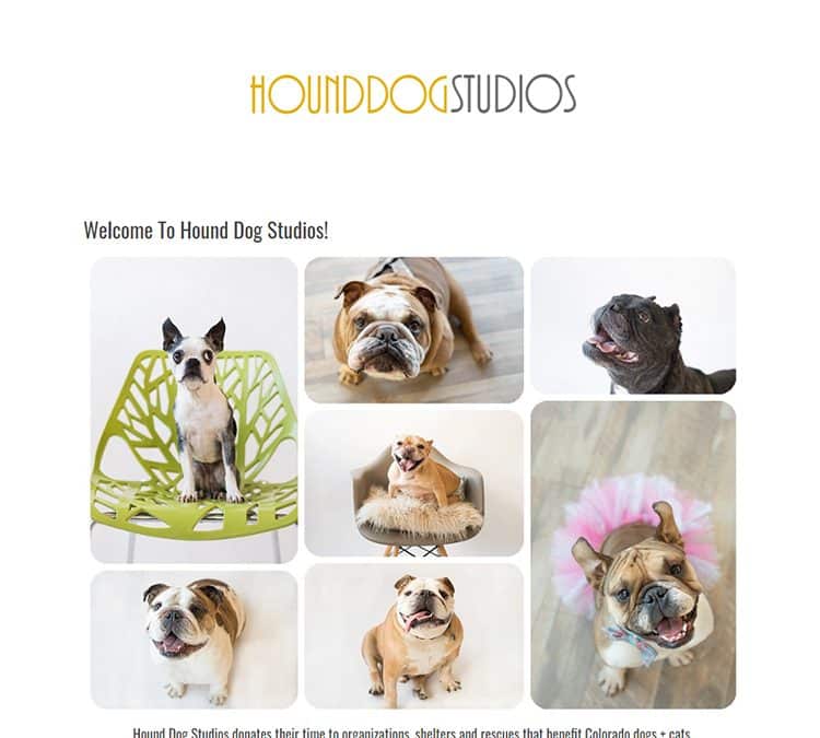 Hound Dog Studios | Custom Photography Website