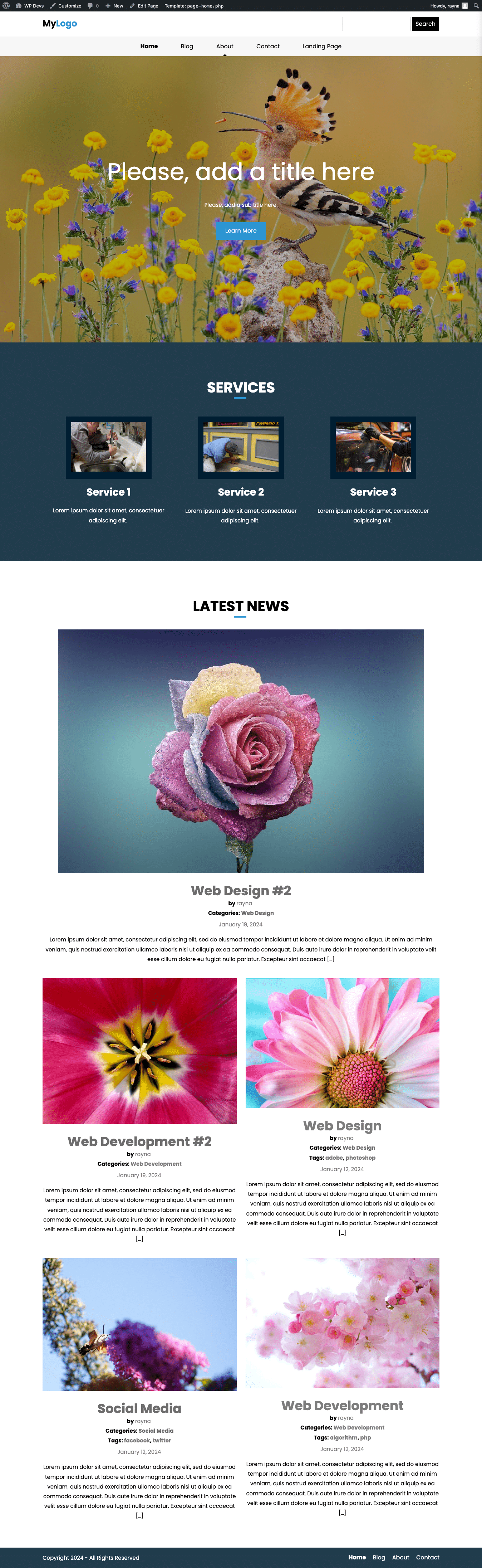 Custom WordPress Theme - Homepage